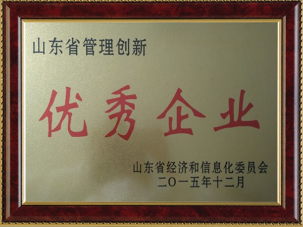 山东省管理创新优秀企业