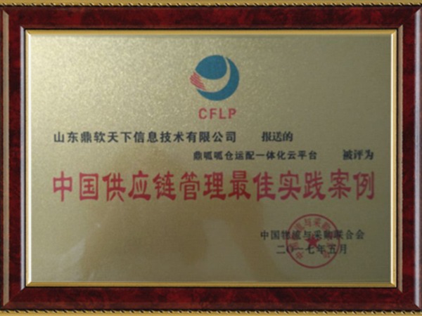 中国供应链管理最佳实践案例